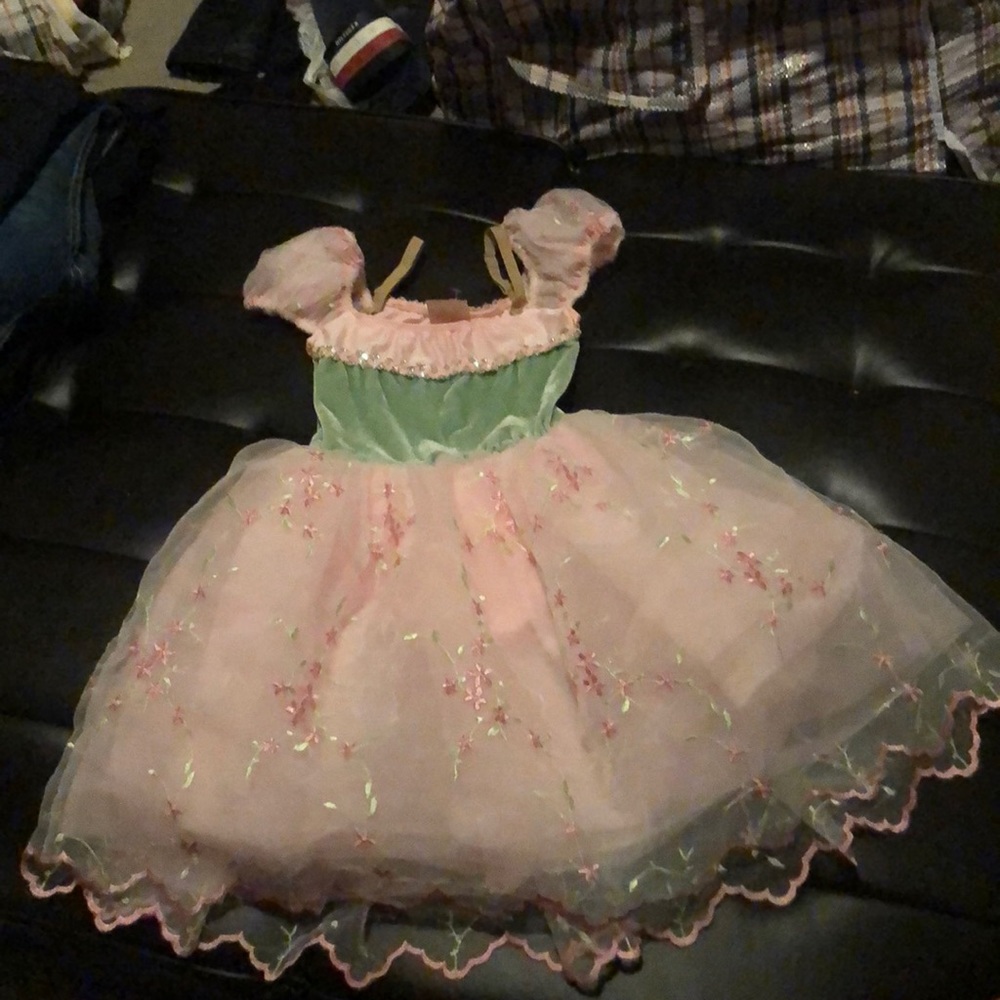 Princess dress